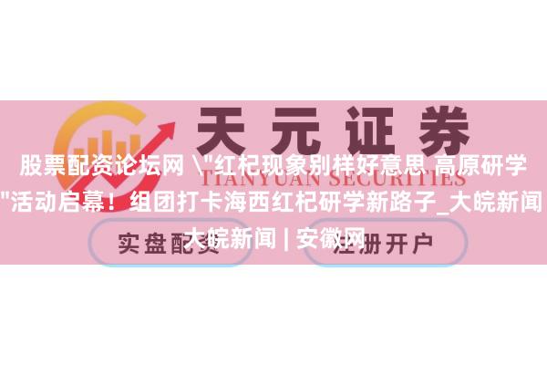 股票配资论坛网 ＂红杞现象别样好意思 高原研学探海西＂活动启幕！组团打卡海西红杞研学新路子_大皖新闻 | 安徽网