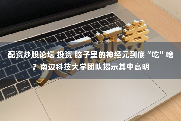 配资炒股论坛 投资 脑子里的神经元到底“吃”啥？南边科技大学团队揭示其中高明
